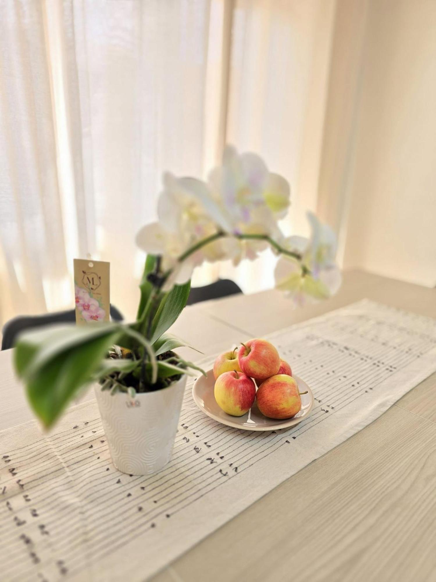 Apartment Aureum Loft *